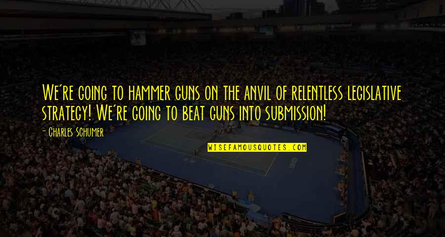 Postulancy Quotes By Charles Schumer: We're going to hammer guns on the anvil