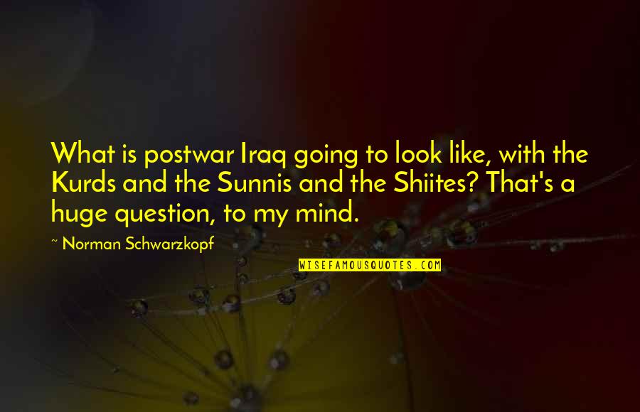 Postwar Quotes By Norman Schwarzkopf: What is postwar Iraq going to look like,
