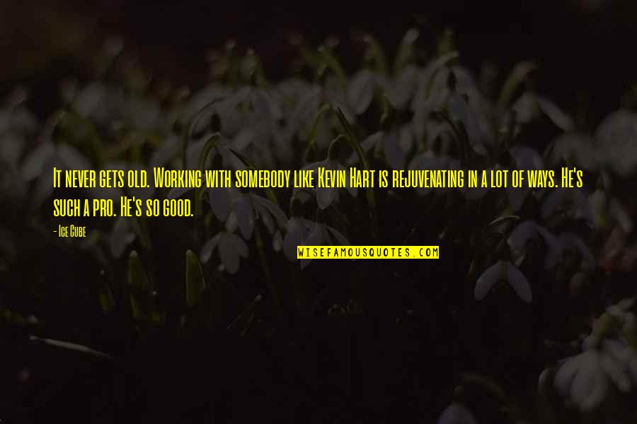 Pot Chloride Quotes By Ice Cube: It never gets old. Working with somebody like Pot Chloride Quotes By Ice Cube: It never gets old. Working with somebody like