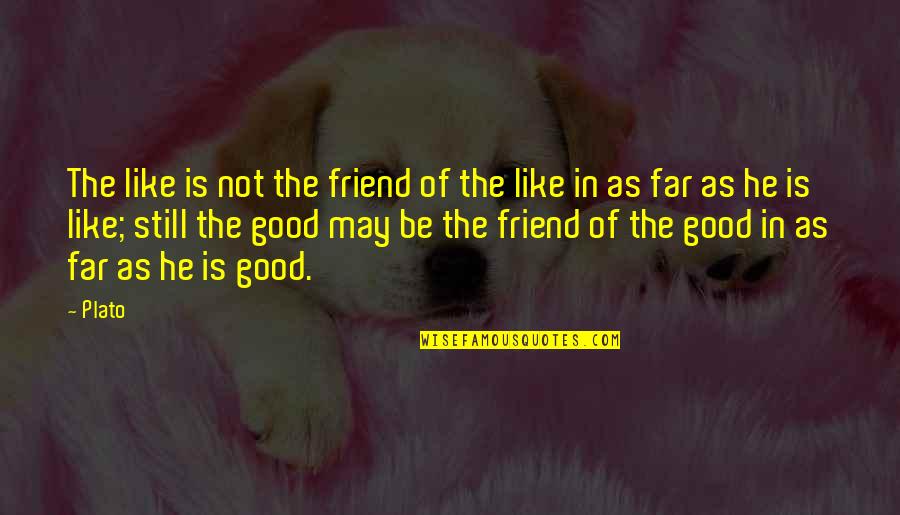 Pot Stirrer Quotes By Plato: The like is not the friend of the