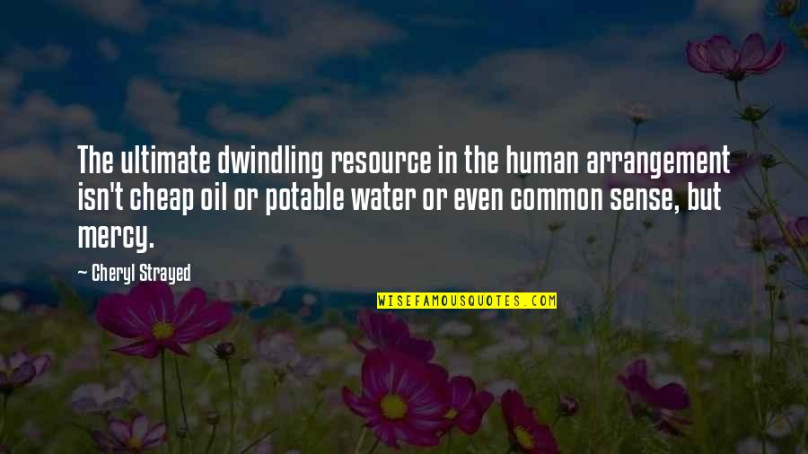 Potable Water Quotes By Cheryl Strayed: The ultimate dwindling resource in the human arrangement