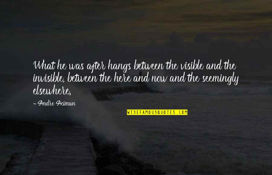 Potapova Ranking Quotes By Andre Aciman: What he was after hangs between the visible Potapova Ranking Quotes By Andre Aciman: What he was after hangs between the visible