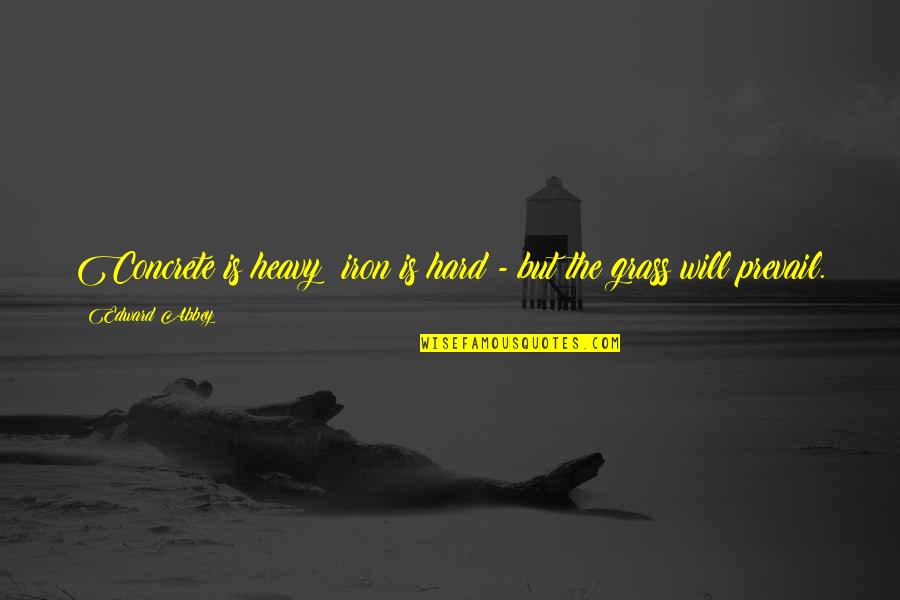 Potapova Ranking Quotes By Edward Abbey: Concrete is heavy; iron is hard - but