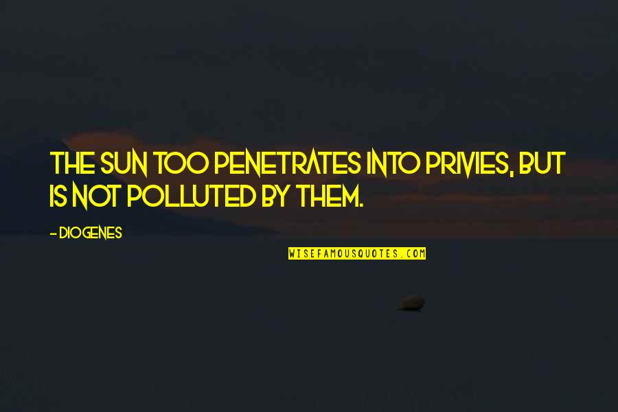 Potash Quotes By Diogenes: The sun too penetrates into privies, but is