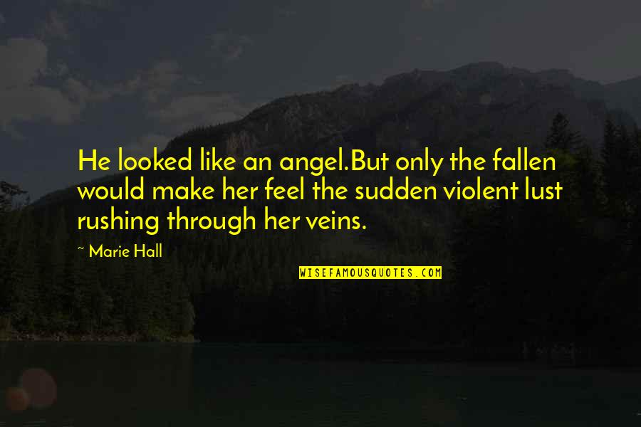 Potato Soup Quotes By Marie Hall: He looked like an angel.But only the fallen