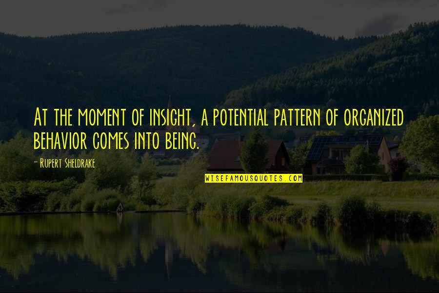 Potential Of The Moment Quotes By Rupert Sheldrake: At the moment of insight, a potential pattern