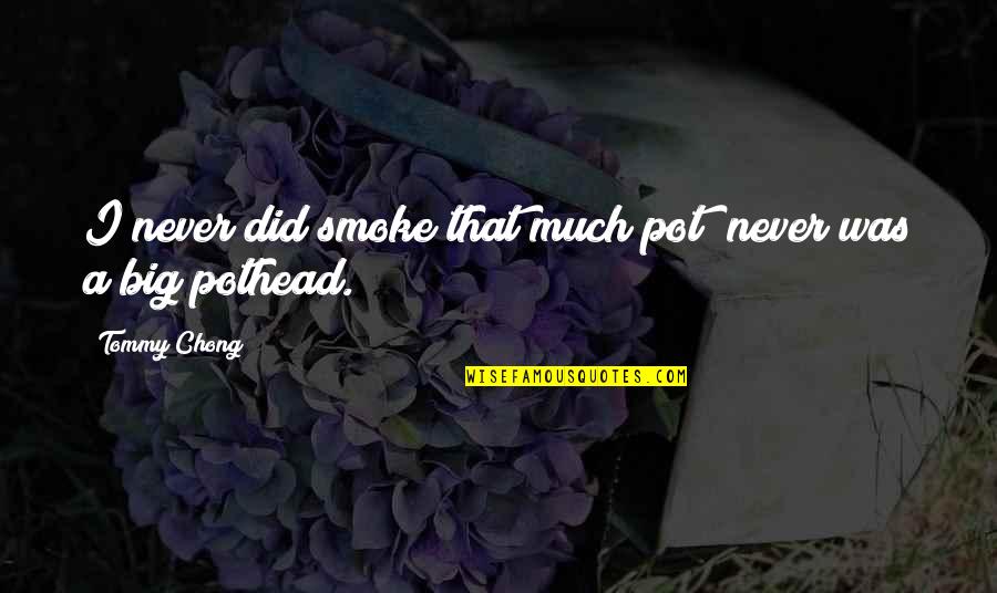 Pothead Quotes By Tommy Chong: I never did smoke that much pot; never