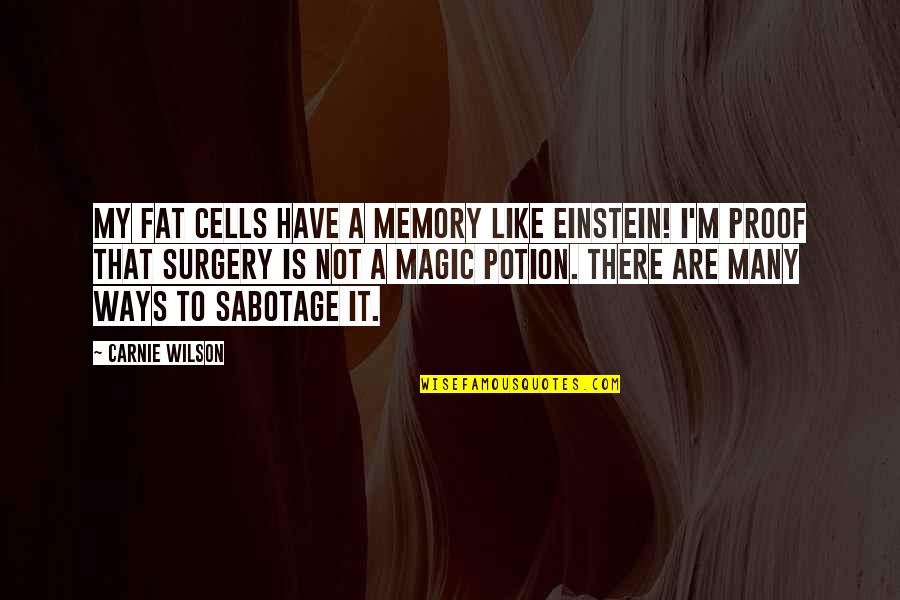 Potion Quotes By Carnie Wilson: My fat cells have a memory like Einstein! Potion Quotes By Carnie Wilson: My fat cells have a memory like Einstein!