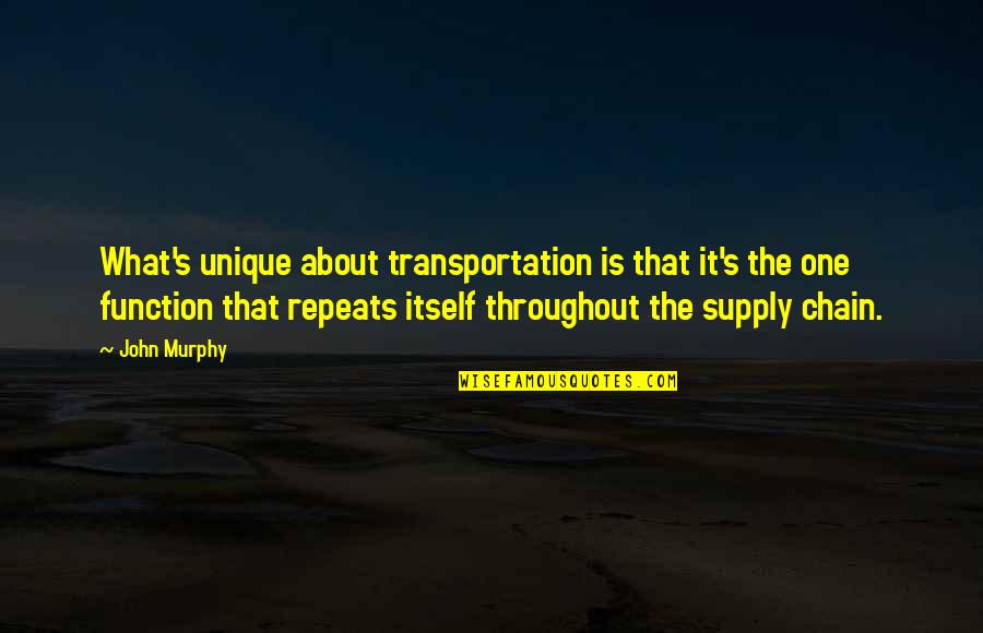 Potlucks And Covid Quotes By John Murphy: What's unique about transportation is that it's the