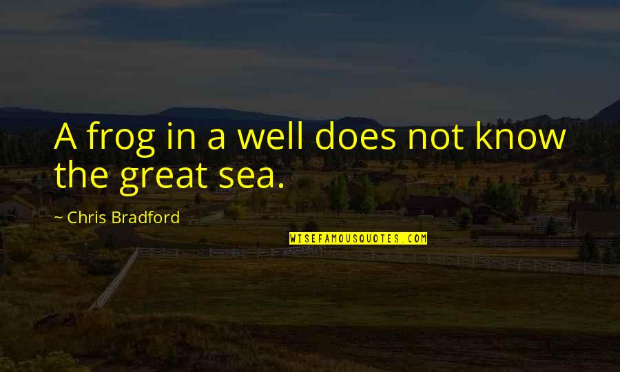 Potpourri Quotes By Chris Bradford: A frog in a well does not know
