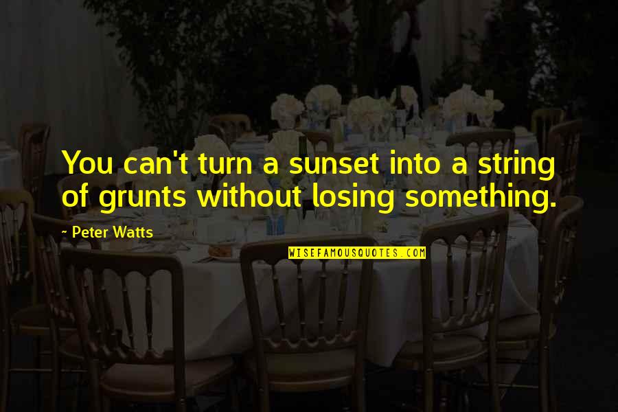 Potpuni Zaokret Quotes By Peter Watts: You can't turn a sunset into a string