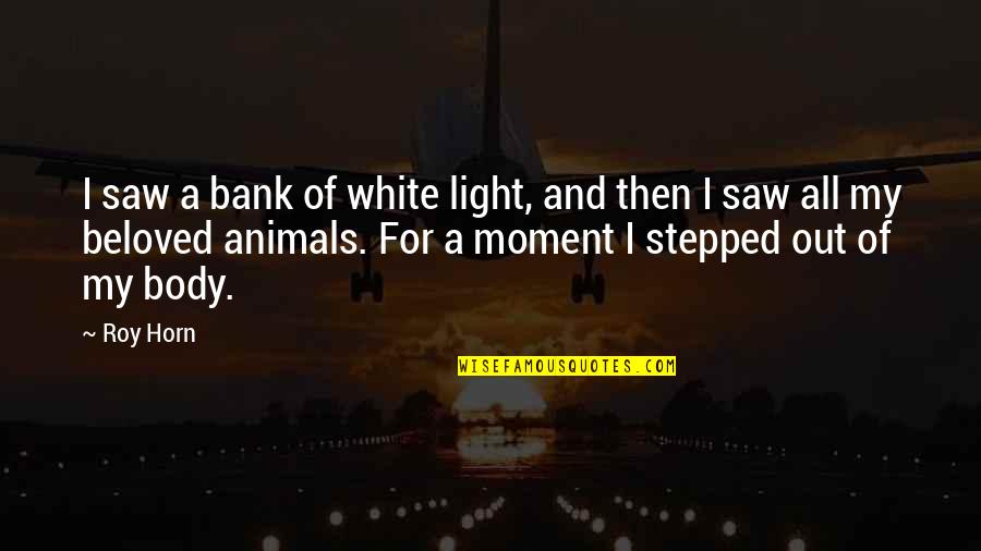 Potricher Quotes By Roy Horn: I saw a bank of white light, and