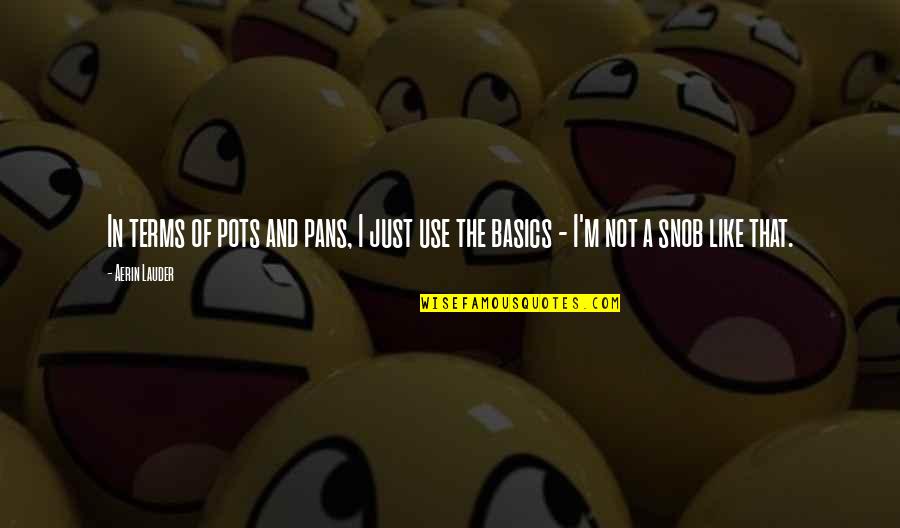 Pots Quotes By Aerin Lauder: In terms of pots and pans, I just