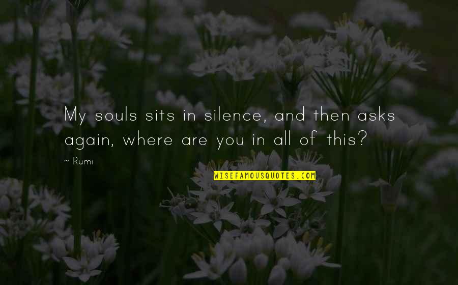 Pottage Quotes By Rumi: My souls sits in silence, and then asks