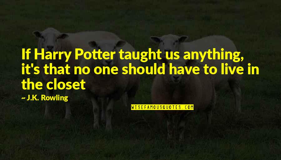 Potters Quotes By J.K. Rowling: If Harry Potter taught us anything, it's that