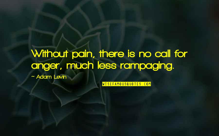 Pouched Animal Informally Quotes By Adam Levin: Without pain, there is no call for anger,