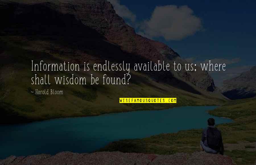 Poulter Ian Quotes By Harold Bloom: Information is endlessly available to us; where shall