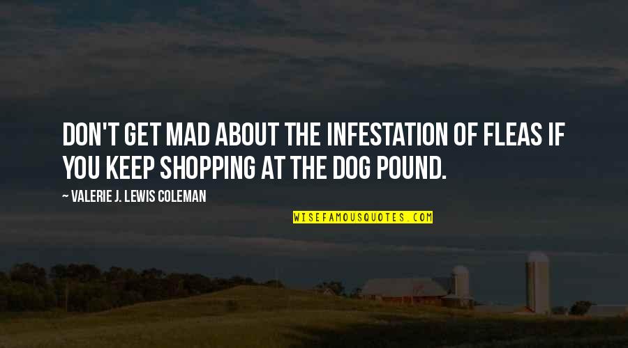 Pound Dog Quotes By Valerie J. Lewis Coleman: Don't get mad about the infestation of fleas