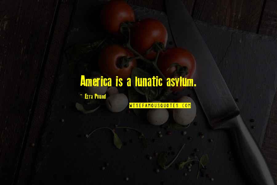 Pound Ezra Quotes By Ezra Pound: America is a lunatic asylum.