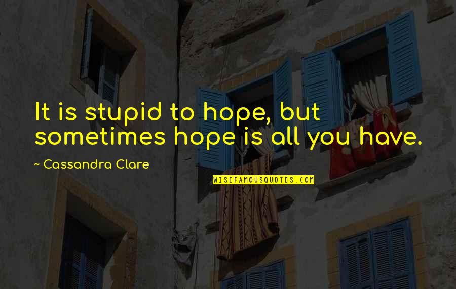 Pounder Quotes By Cassandra Clare: It is stupid to hope, but sometimes hope Pounder Quotes By Cassandra Clare: It is stupid to hope, but sometimes hope