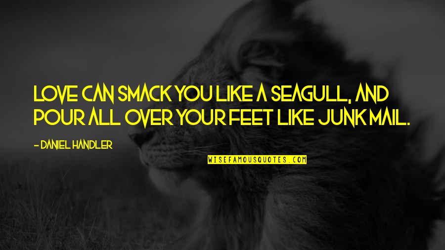Pour Quotes By Daniel Handler: Love can smack you like a seagull, and