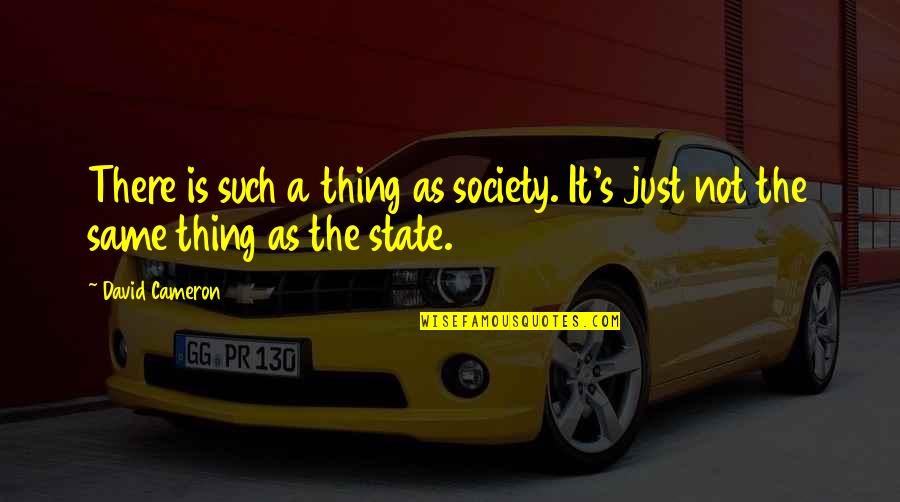 Pourdavood Quotes By David Cameron: There is such a thing as society. It's