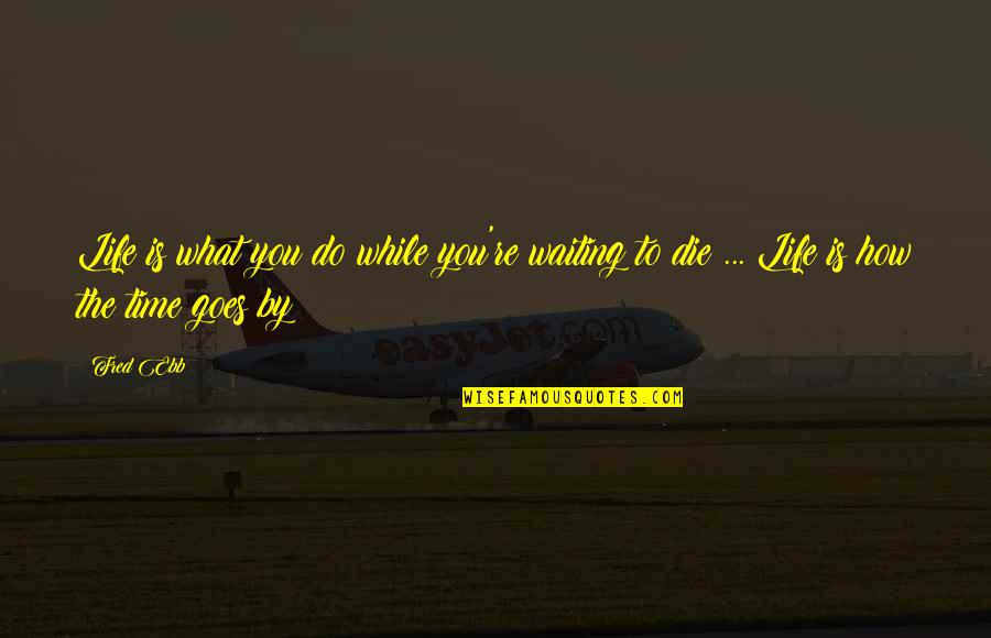 Pouria Daryanabard Quotes By Fred Ebb: Life is what you do while you're waiting