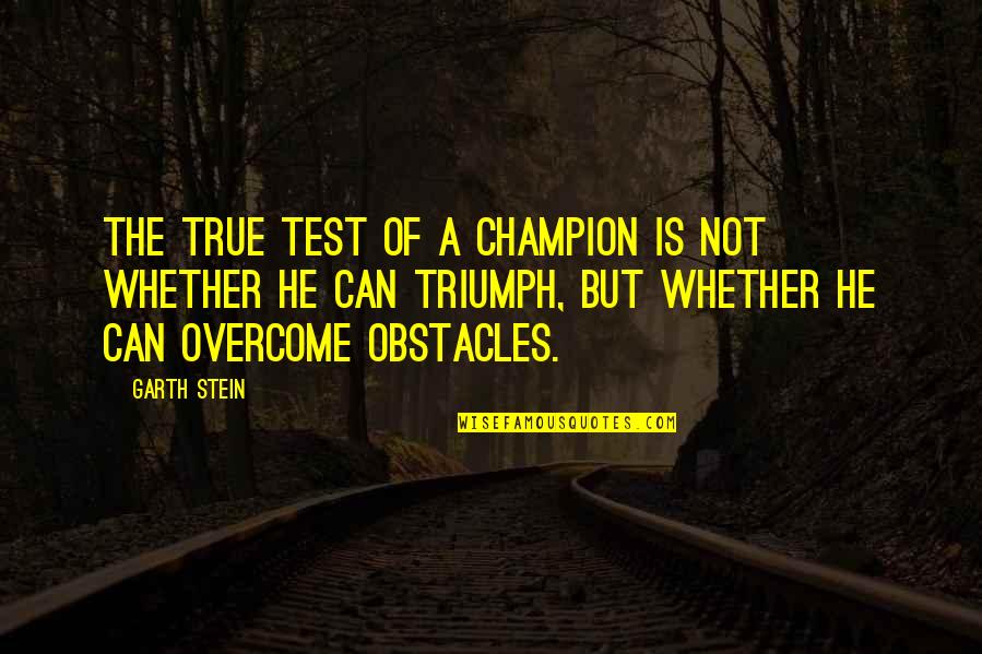 Poutres Apparentes Quotes By Garth Stein: The true test of a champion is not Poutres Apparentes Quotes By Garth Stein: The true test of a champion is not