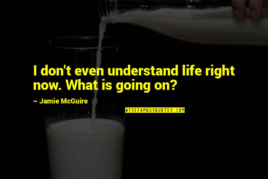 Povero Amore Quotes By Jamie McGuire: I don't even understand life right now. What Povero Amore Quotes By Jamie McGuire: I don't even understand life right now. What