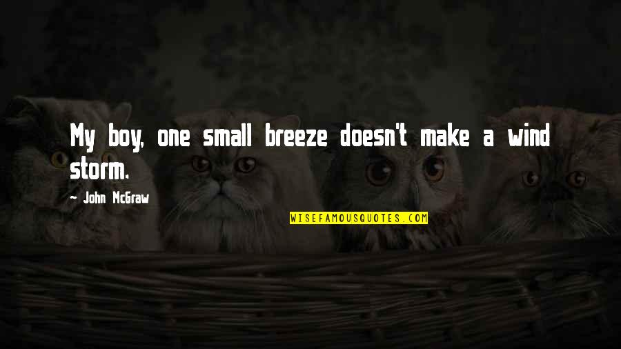 Poverous Quotes By John McGraw: My boy, one small breeze doesn't make a Poverous Quotes By John McGraw: My boy, one small breeze doesn't make a