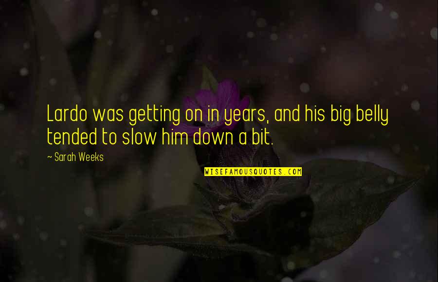 Povesti De Ion Quotes By Sarah Weeks: Lardo was getting on in years, and his