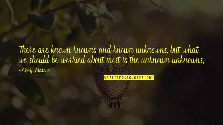 Povlo Quotes By Gary Marcus: There are known knowns and known unknowns, but Povlo Quotes By Gary Marcus: There are known knowns and known unknowns, but