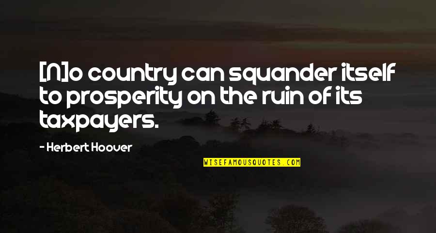 Pow Quotes By Herbert Hoover: [N]o country can squander itself to prosperity on
