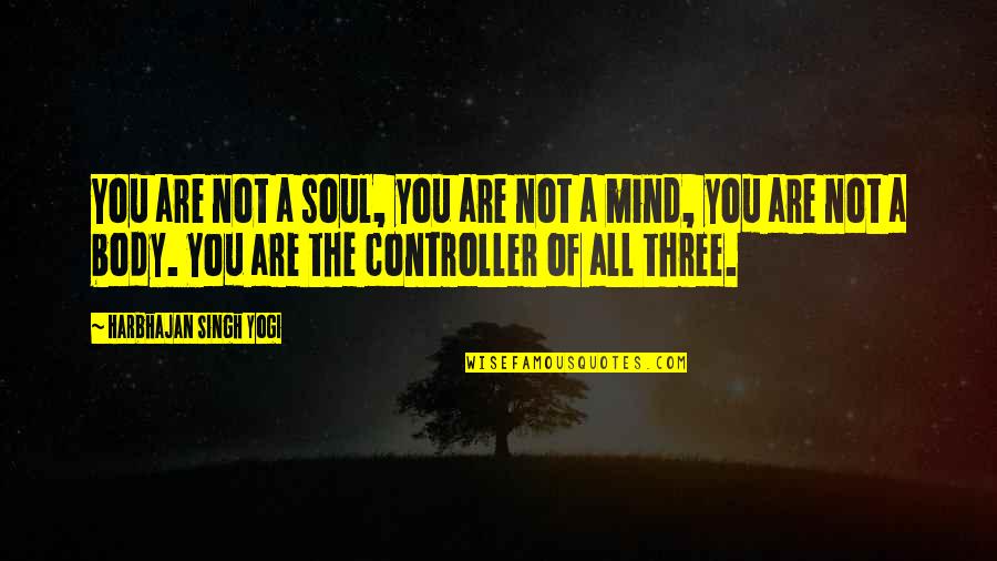 Powder Snowboard Quotes By Harbhajan Singh Yogi: You are not a soul, you are not