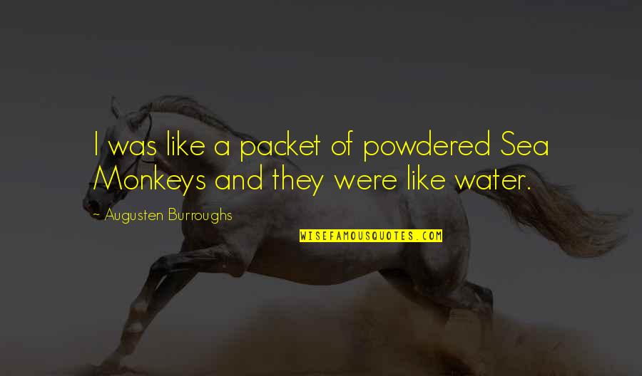 Powdered Quotes By Augusten Burroughs: I was like a packet of powdered Sea
