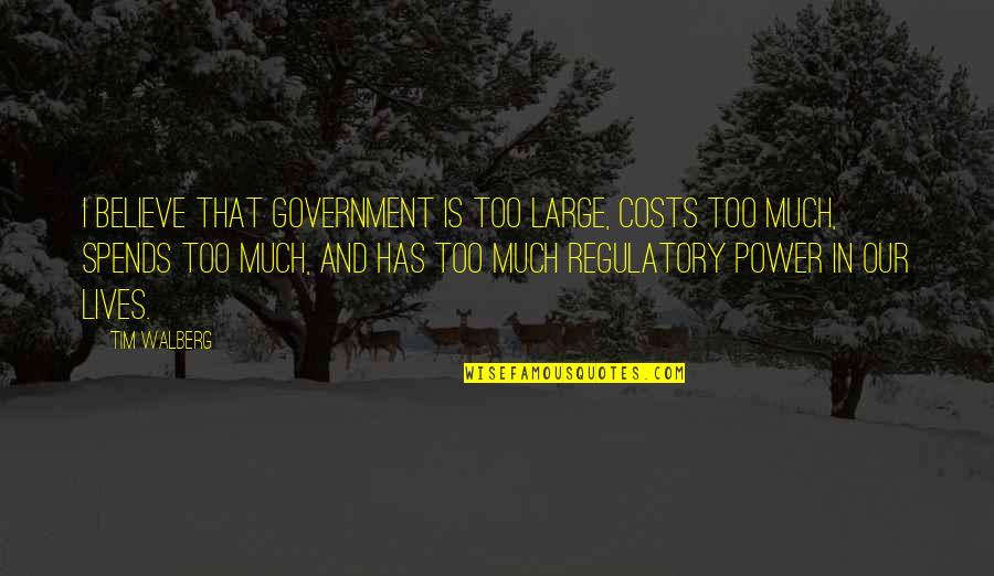 Power Government Quotes By Tim Walberg: I believe that government is too large, costs