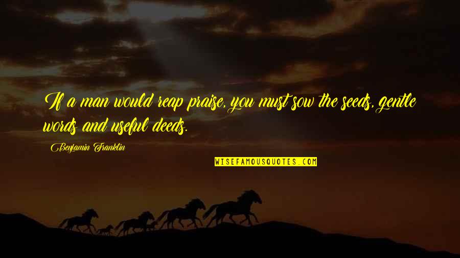 Power Imbalance Quotes By Benjamin Franklin: If a man would reap praise, you must