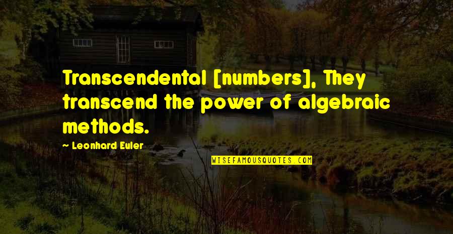 Power In Numbers Quotes By Leonhard Euler: Transcendental [numbers], They transcend the power of algebraic