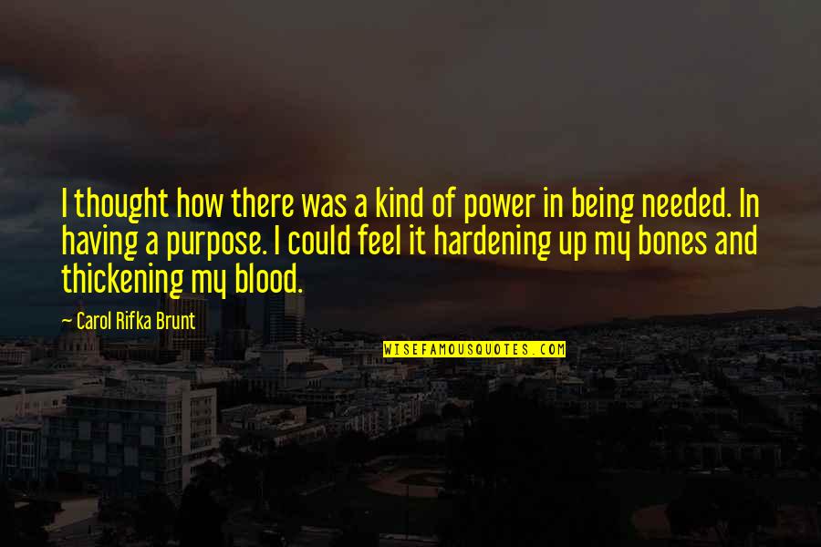Power In The Blood Quotes By Carol Rifka Brunt: I thought how there was a kind of