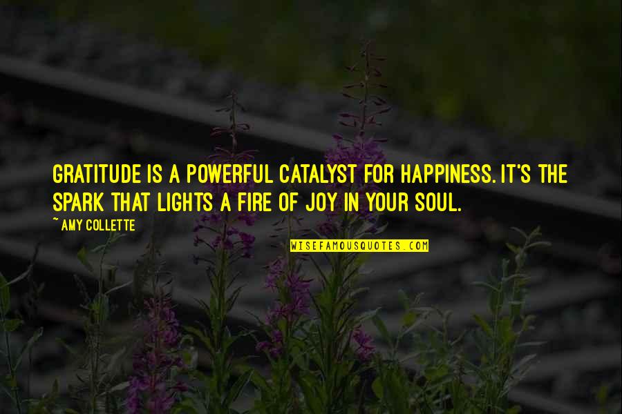 Power Of Energy Quotes By Amy Collette: Gratitude is a powerful catalyst for happiness. It's