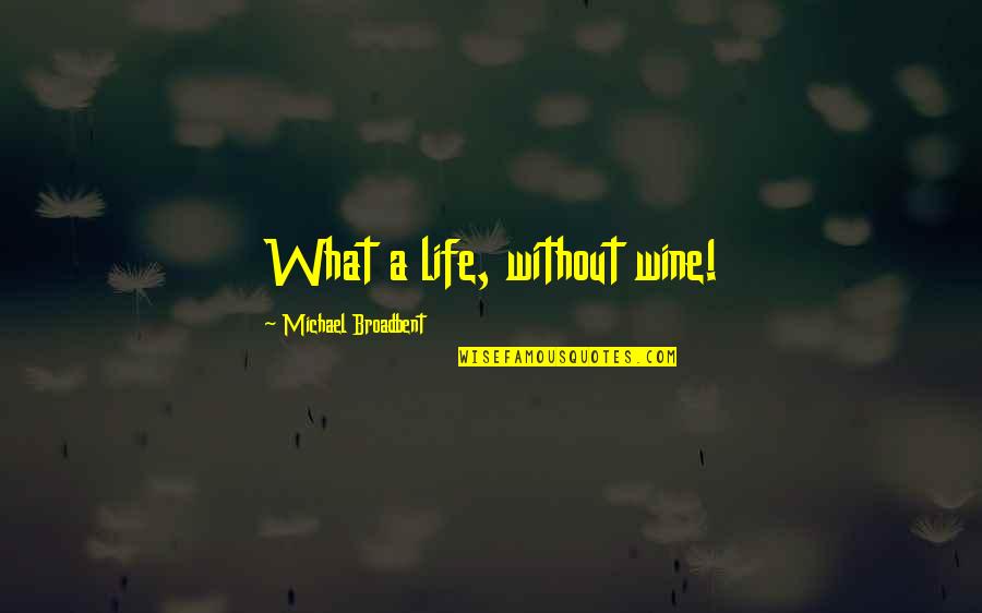 Power Of Negative Words Quotes By Michael Broadbent: What a life, without wine!
