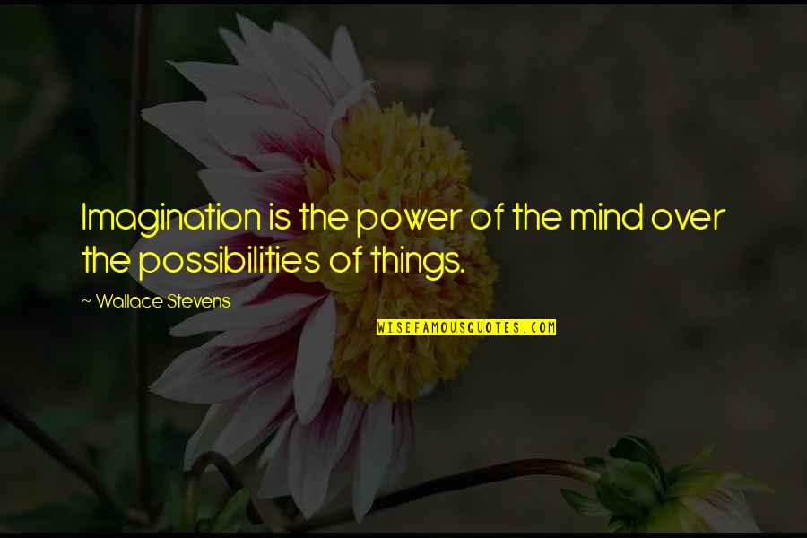 Power Of Possibility Quotes By Wallace Stevens: Imagination is the power of the mind over