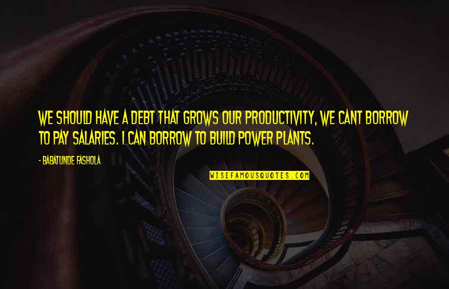 Power Plants Quotes By Babatunde Fashola: We should have a debt that grows our