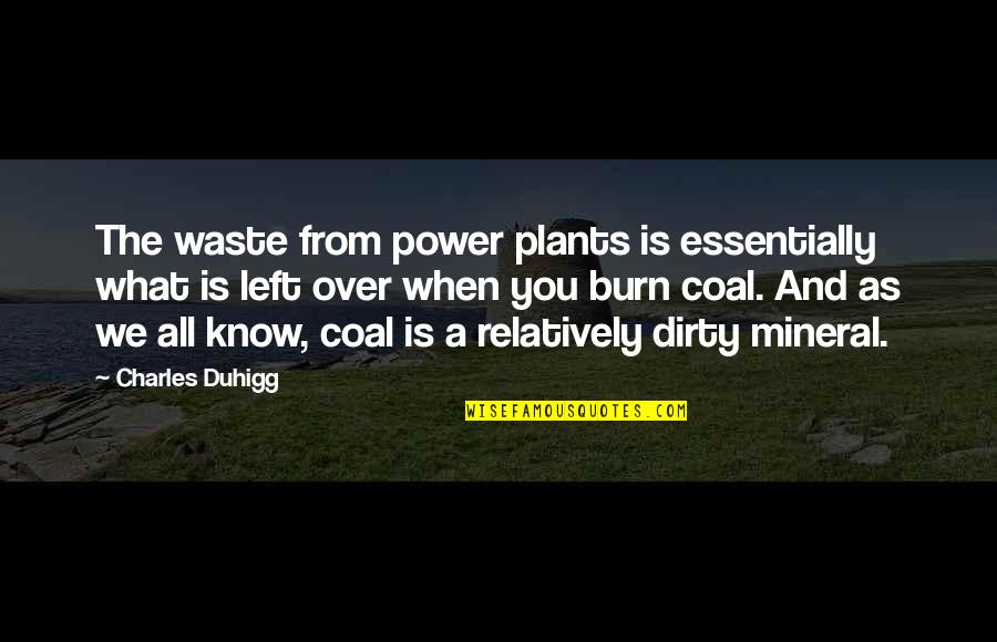 Power Plants Quotes By Charles Duhigg: The waste from power plants is essentially what