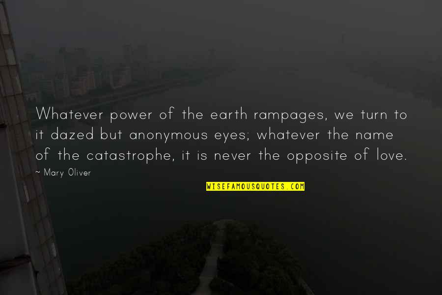 Power To Love Quotes By Mary Oliver: Whatever power of the earth rampages, we turn