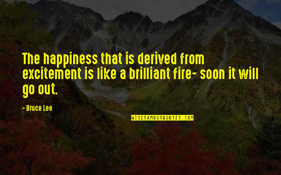 Powerful Happiness Quotes By Bruce Lee: The happiness that is derived from excitement is