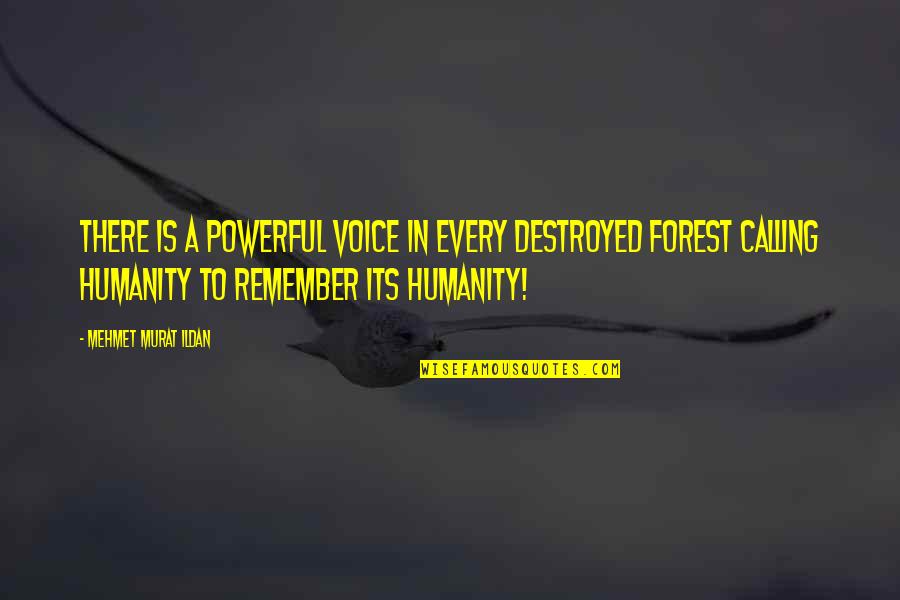 Powerful Humanity Quotes By Mehmet Murat Ildan: There is a powerful voice in every destroyed Powerful Humanity Quotes By Mehmet Murat Ildan: There is a powerful voice in every destroyed