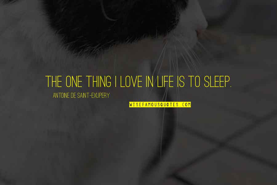 Powerful Look Quotes By Antoine De Saint-Exupery: The one thing I love in life is Powerful Look Quotes By Antoine De Saint-Exupery: The one thing I love in life is