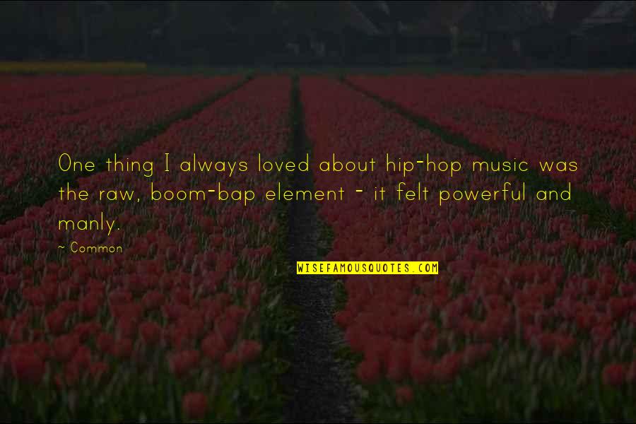 Powerful Music Quotes By Common: One thing I always loved about hip-hop music