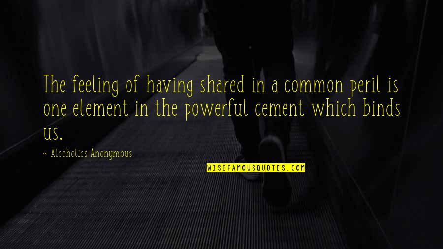 Powerful Quotes By Alcoholics Anonymous: The feeling of having shared in a common